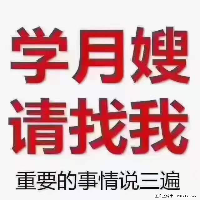 为什么要学习月嫂，育婴师？ - 新手上路 - 临汾生活社区 - 临汾28生活网 linfen.28life.net