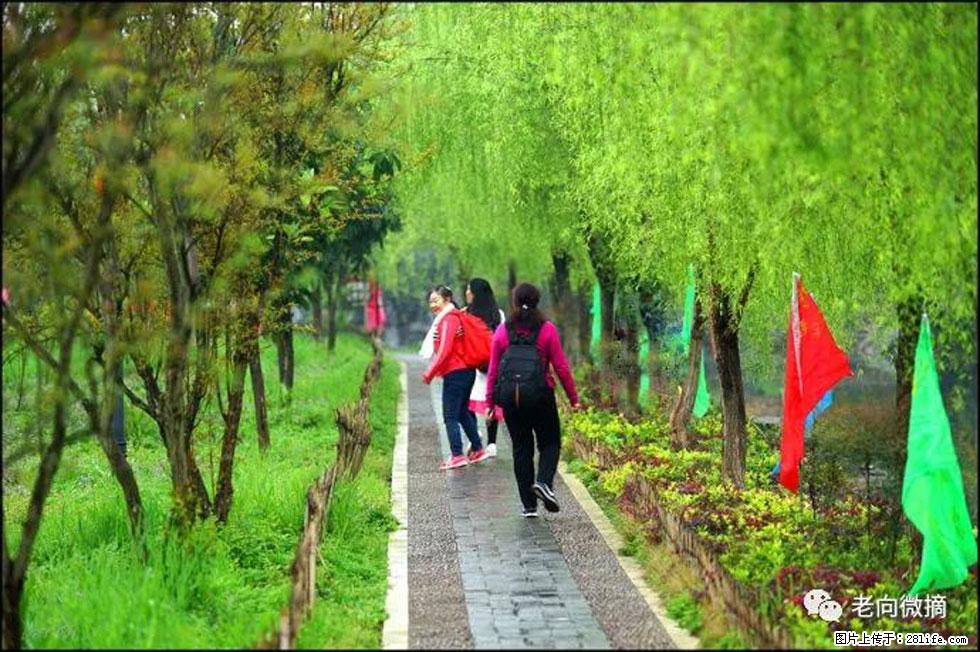 【春天，广西桂林灌阳县向您发出邀请！】江口老街又逢春 - 游山玩水 - 临汾生活社区 - 临汾28生活网 linfen.28life.net