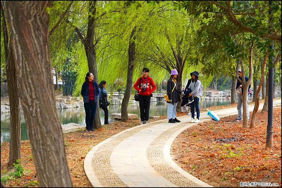 【春天，广西桂林灌阳县向您发出邀请！】江口老街又逢春 - 游山玩水 - 临汾生活社区 - 临汾28生活网 linfen.28life.net