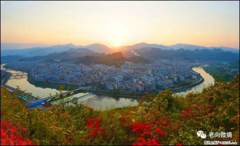 【春天，广西桂林灌阳县向您发出邀请！】登麒麟山，相约映山红 - 游山玩水 - 临汾生活社区 - 临汾28生活网 linfen.28life.net