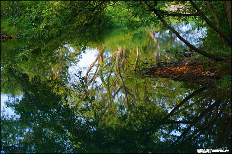 【春天，广西桂林灌阳县向您发出邀请！】熊家寨湿地公园 - 游山玩水 - 临汾生活社区 - 临汾28生活网 linfen.28life.net