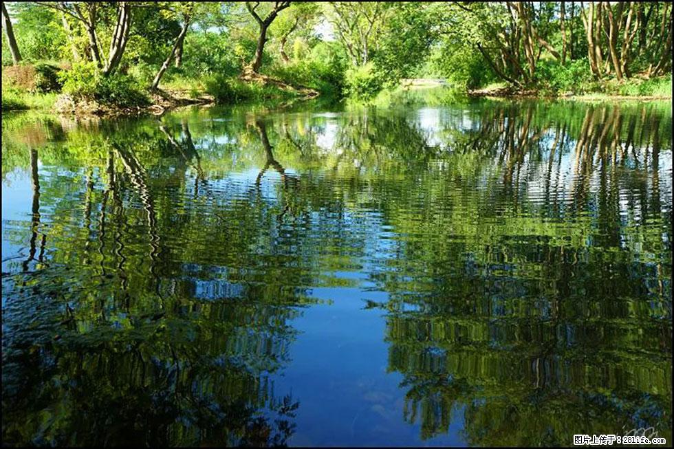 【春天，广西桂林灌阳县向您发出邀请！】熊家寨湿地公园 - 游山玩水 - 临汾生活社区 - 临汾28生活网 linfen.28life.net