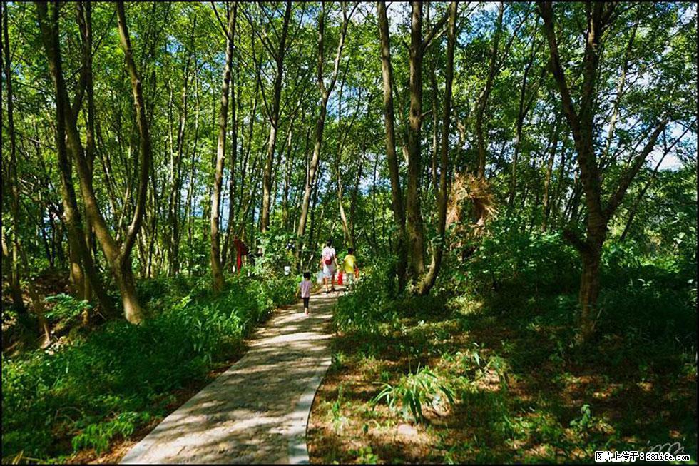 【春天，广西桂林灌阳县向您发出邀请！】熊家寨湿地公园 - 游山玩水 - 临汾生活社区 - 临汾28生活网 linfen.28life.net