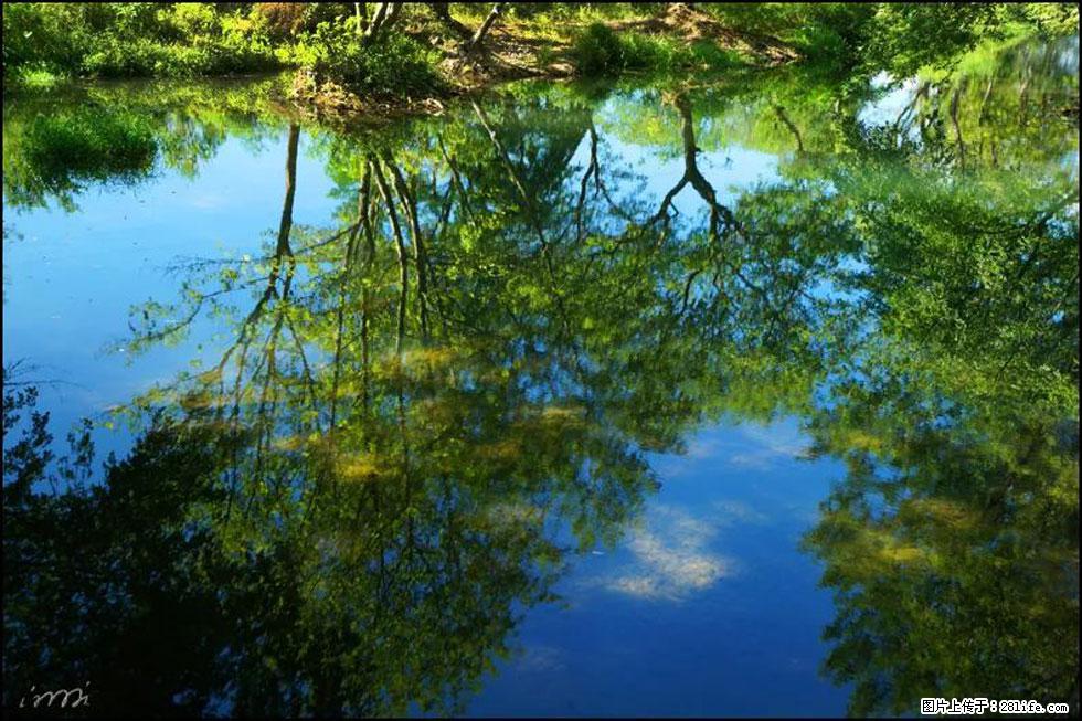 【春天，广西桂林灌阳县向您发出邀请！】熊家寨湿地公园 - 游山玩水 - 临汾生活社区 - 临汾28生活网 linfen.28life.net