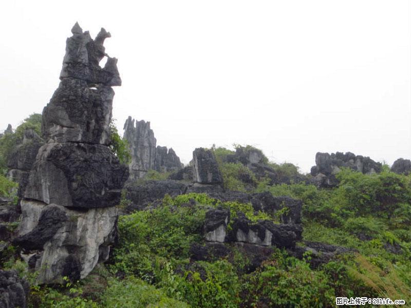 桂林旅游名城景点：灌阳文市石林 - 游山玩水 - 临汾生活社区 - 临汾28生活网 linfen.28life.net