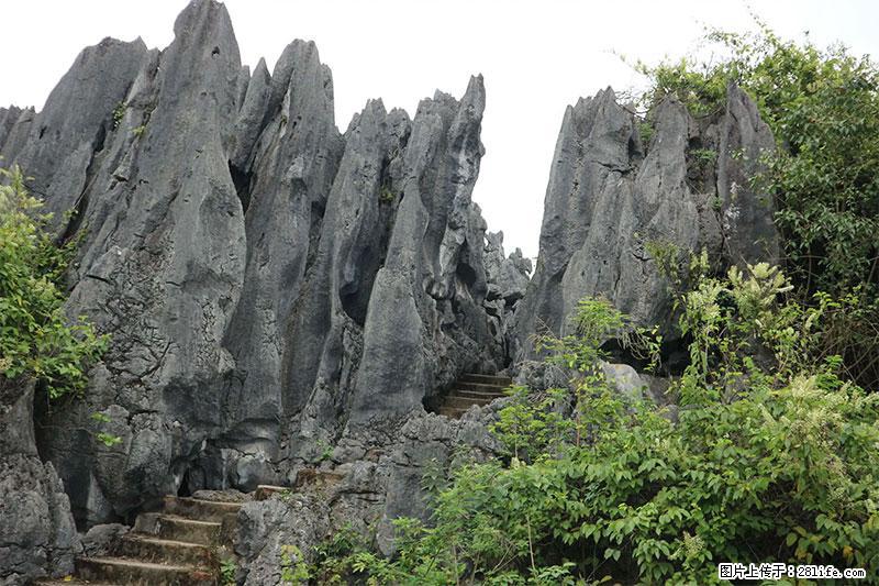桂林旅游名城景点：灌阳文市石林 - 游山玩水 - 临汾生活社区 - 临汾28生活网 linfen.28life.net