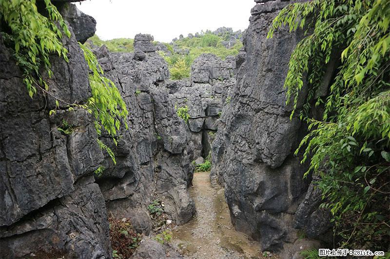 桂林旅游名城景点：灌阳文市石林 - 游山玩水 - 临汾生活社区 - 临汾28生活网 linfen.28life.net