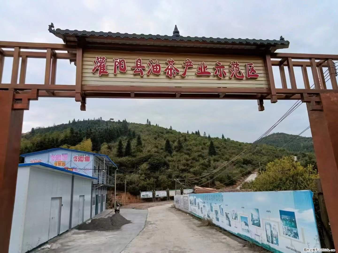 【灌阳县油茶产业示范区】一个有着充实的精神生活的人，对待身外之物自会有一种淡泊的态度 - 土特产 - 饮食特产 - 临汾分类信息 - 临汾28生活网 linfen.28life.net