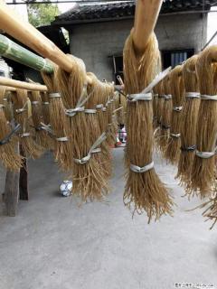 【灌阳正宗红薯粉】美女家里自己做的，干净卫生，假一赔十，价格合理，抢购电话：13737312895 - 临汾28生活网 linfen.28life.net