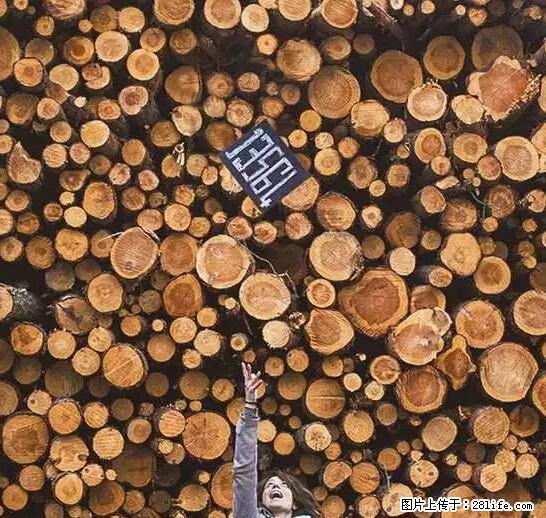 辞掉工作周游世界？现在他们在洗厕所…… - 游山玩水 - 临汾生活社区 - 临汾28生活网 linfen.28life.net