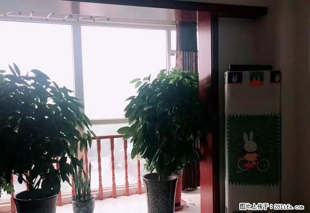 出租：同鑫乐园，电梯房，3个空调，拎包入住 - 房屋出租 - 房屋租售 - 临汾分类信息 - 临汾28生活网 linfen.28life.net
