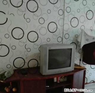 秦属路印染巷，拎包入住 - 临汾28生活网 linfen.28life.net