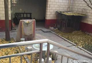 益民路别墅，上下三层，可坐办公室，也可住人！！！ - 临汾28生活网 linfen.28life.net