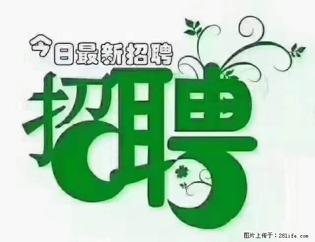 【招聘摄像师】待遇：试用期6000元/月，转正7000元/月+五险一金+餐补+节日福利+奖金 - 其他招聘信息 - 招聘求职 - 临汾分类信息 - 临汾28生活网 linfen.28life.net