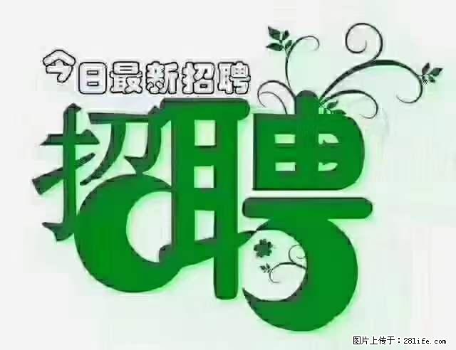 上海隔离酒店招人：55岁以下 男女不限 - 职场交流 - 临汾生活社区 - 临汾28生活网 linfen.28life.net