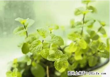晕车、脚气、牙齿变黄、皮肤粗糙？学会这些三分钟搞定！ - 临汾生活资讯 - 临汾28生活网 linfen.28life.net