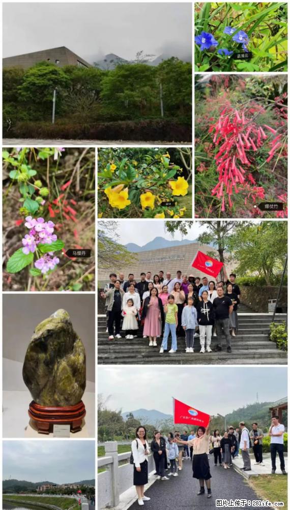 “粤灌文化 美好生活”油茶文化主题活动在广东深圳成功举办 - 临汾生活资讯 - 临汾28生活网 linfen.28life.net