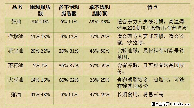 揭秘茶油的5大核心营养成分！被称为人体健康的“守护盾”！ - 临汾生活资讯 - 临汾28生活网 linfen.28life.net