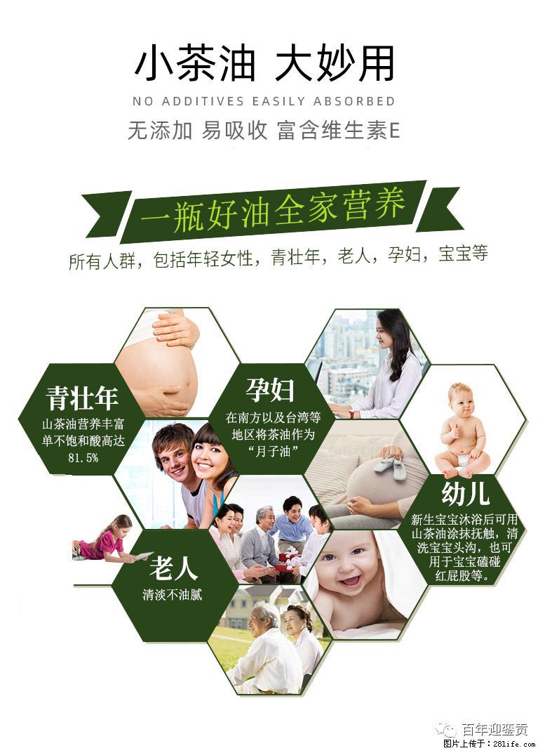 世界没有真相，只有认知，最好的食用油是中国的山茶油！ - 临汾生活资讯 - 临汾28生活网 linfen.28life.net