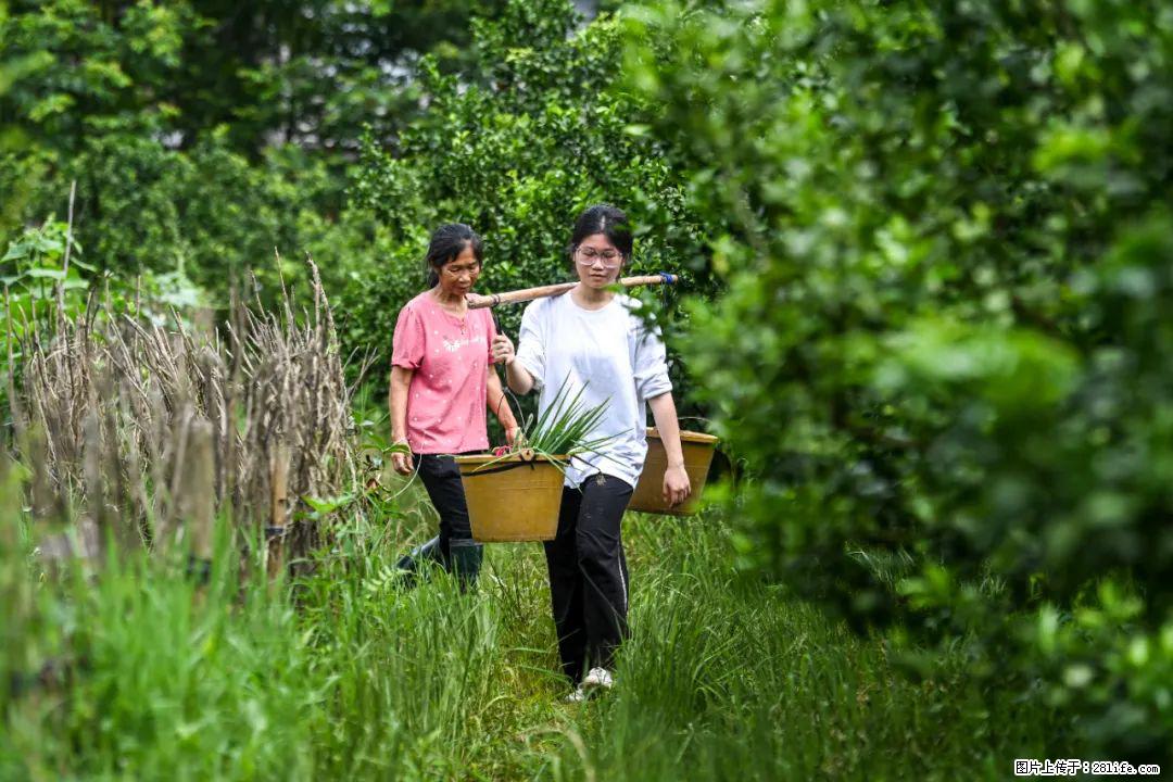 全网追的“扁担女孩”，找了一份暑假工，时薪12元 - 临汾生活资讯 - 临汾28生活网 linfen.28life.net