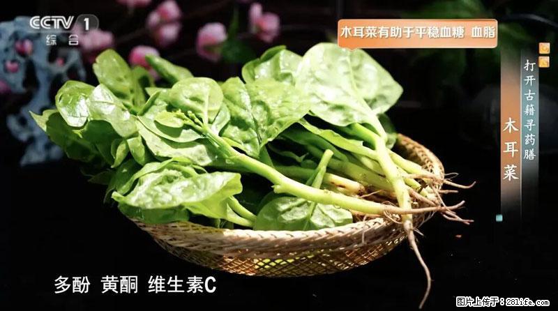 比牛奶补钙还厉害！凉血解毒、稳血糖...这菜冬天必吃，很多人却当草 - 临汾生活资讯 - 临汾28生活网 linfen.28life.net