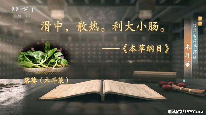 比牛奶补钙还厉害！凉血解毒、稳血糖...这菜冬天必吃，很多人却当草 - 临汾生活资讯 - 临汾28生活网 linfen.28life.net