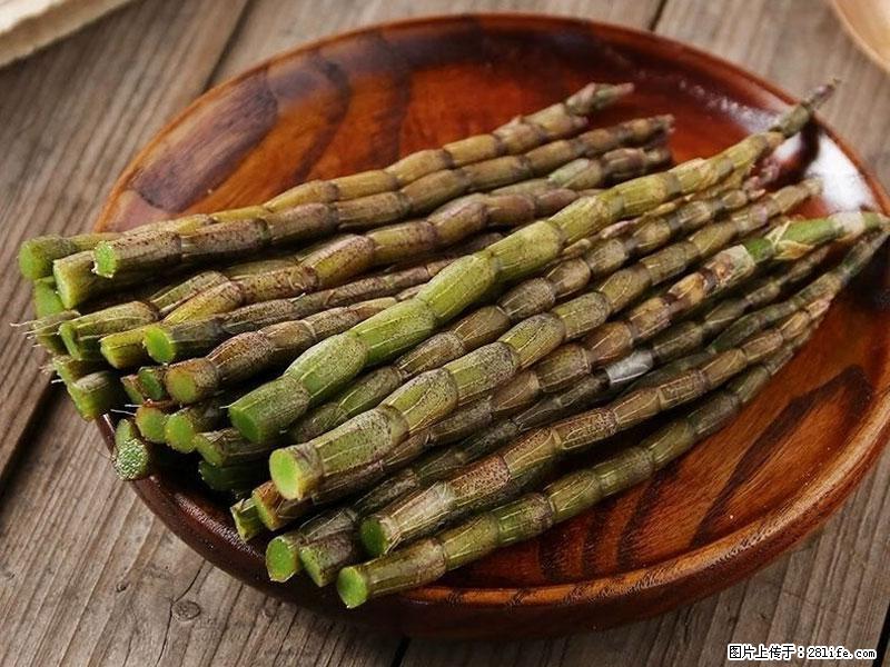 铁皮石斛的作用与功能主治 - 临汾生活资讯 - 临汾28生活网 linfen.28life.net